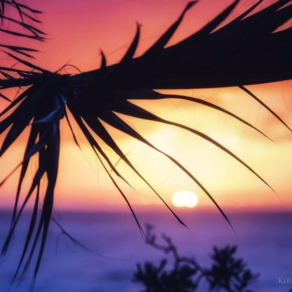 Meet your Posher, Natalie - Picture 1 of 1